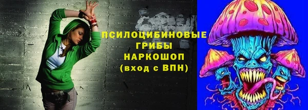 apvp Богородицк