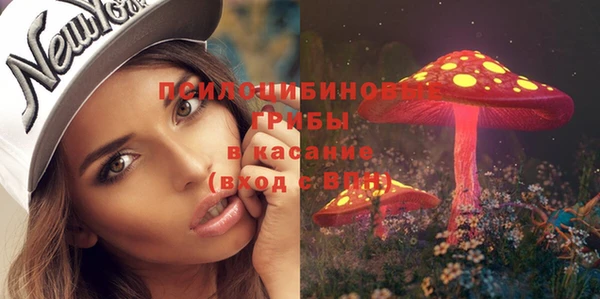 СК Богородск